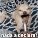 Figurinha
