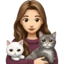Figurinha