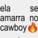 Samolepka