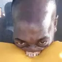 Samolepka