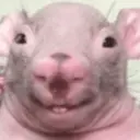 Samolepka