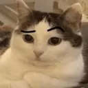 Samolepka