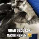 Çıkartma