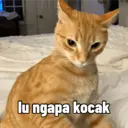 Ngjitës