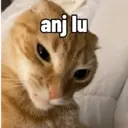 Ngjitës