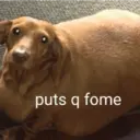 Autocollant