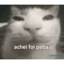 Samolepka