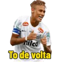 Stika