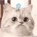 Çıkartma
