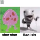 Stiker