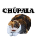 Figurinha
