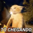 스티커