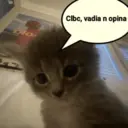 Límmiði