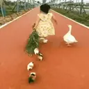 స్టికర్
