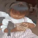 స్టికర్