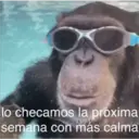 Stika