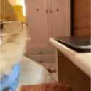 贴纸