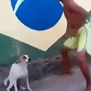 贴纸
