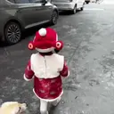 Çıkartma