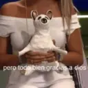 Figurinha