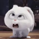 Nhãn dán