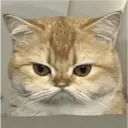 Nhãn dán