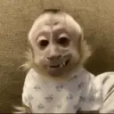 ملصق