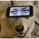 ملصق