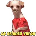 Стикер