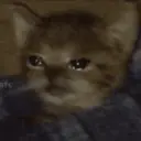 Pelekat