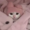 Pelekat