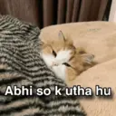 ملصق