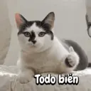 ملصق