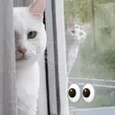 ملصق