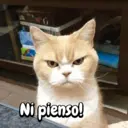 ملصق