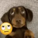 贴纸