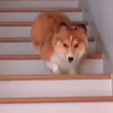 贴纸