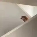 ملصق