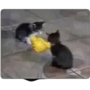 Çıkartma