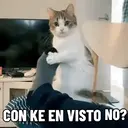 贴纸