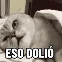 贴纸