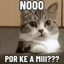 贴纸