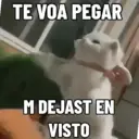 贴纸