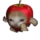 ਸਟਿਕਰ