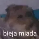 스티커