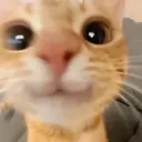 스티커