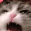 스티커