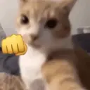 ステッカー