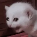 ステッカー