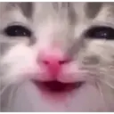 ステッカー